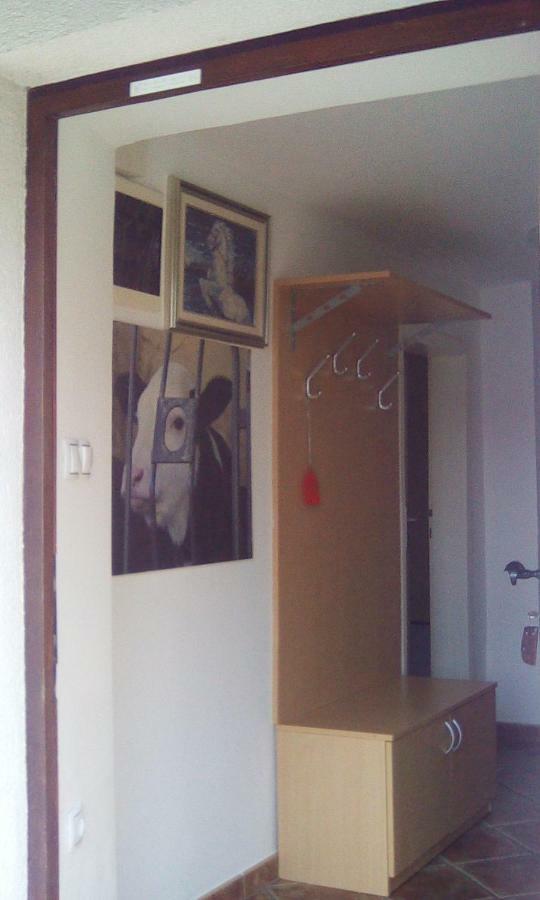 Apartma Pr' Vok Лешче Экстерьер фото