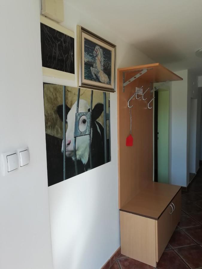 Apartma Pr' Vok Лешче Экстерьер фото